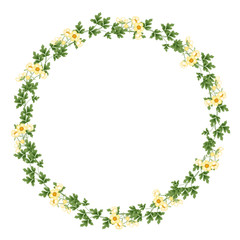 Autumn Floral Frame Collections. vector
