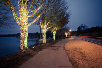 Christmas decorated trees near the lake