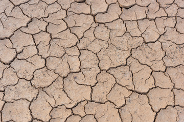 Crack soil on dry season