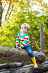 Little kid boy  having fun on autumn playground