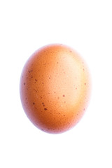 egg on white background