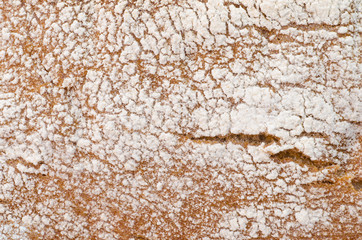close up to bread leaf