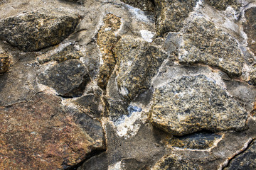 Rocks on the coast for background.