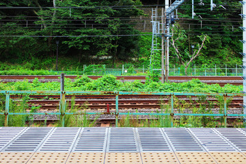 Landscape seen from the train home