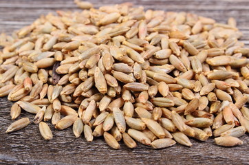 Heap of rye grain on wooden background
