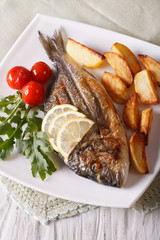 Grilled dorado fish with fried potatoes and tomato close-up 
