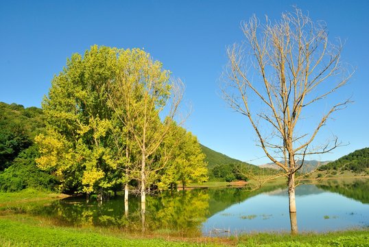 Riserva Naturale del Lago di Canterno - Lazio - Italia