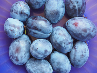 Prune fruits