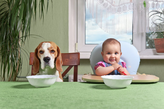  Girl With A Dog Waiting For Dinner