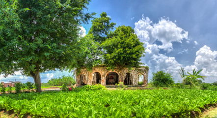 Panorama most original old house party early with two banyan trees growing village in a house made of bricks from 1909. Three banyan tree is a solid column to house exists to this day.