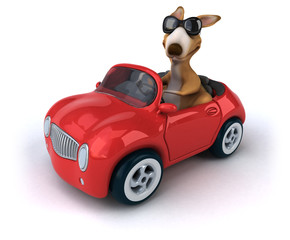 Fun kangaroo