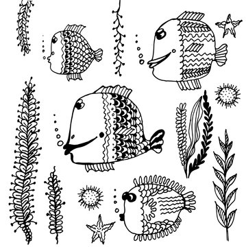 set Doodle collection of fish and seaweed pattern vector illustration