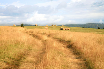 Hay harvest on meadow in Pasterka village, Poland, Table Mountains travel destination.