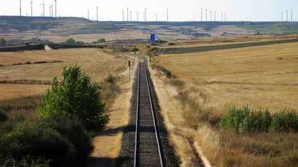 Naklejka premium Vías de trenes.