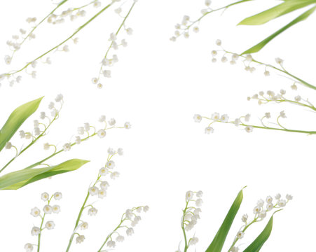 スズラン Images Browse 1 691 Stock Photos Vectors And Video Adobe Stock