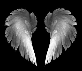 Angel wings