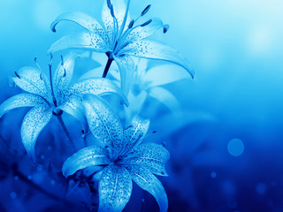 floral background