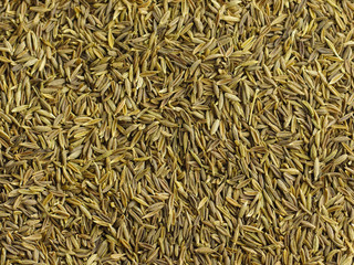 Cumin seeds.
