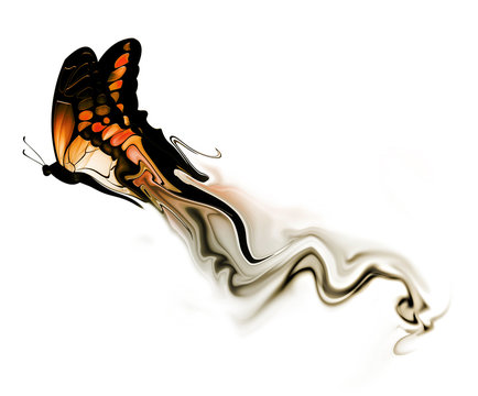 butterfly with smoke