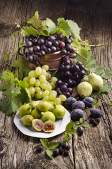 frutta di stagione still life