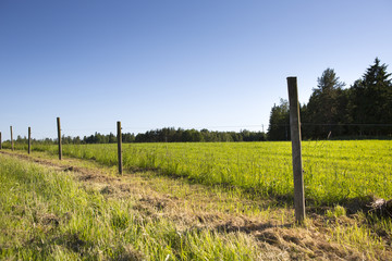 A traditional countryside image from Finland. Image taken during early summer. 