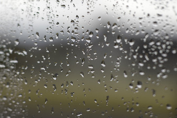 raindrops on a windowpane