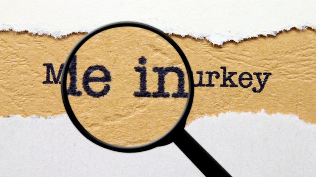 Made in Turkey 