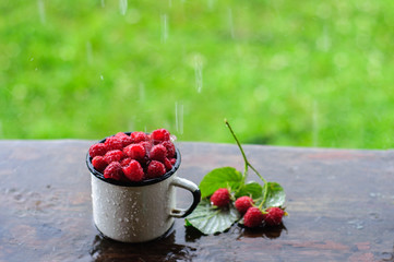 White can and mug with fresh raspberry on rain