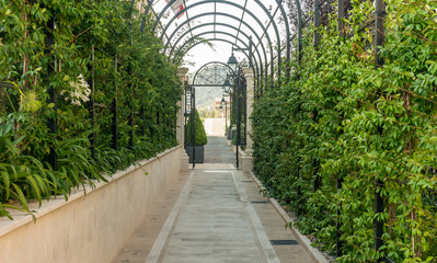 green arcs made of tropical plants above pedestrian pathway