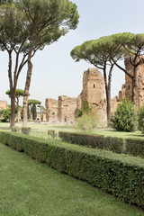 Baths of Caracalla / The Baths of Caracalla in Rome