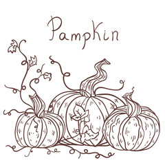 Hand drawn pumpkins