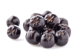 Chokeberry in closeup