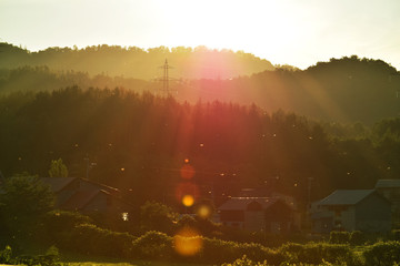トンボのいる夕方の風景 © A. Takahashi