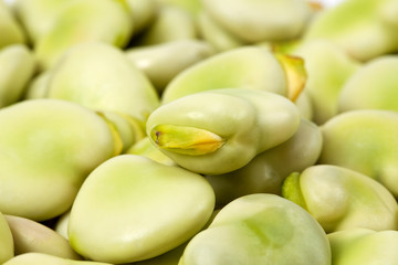 background of green broad bean close up