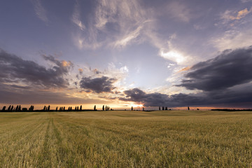 End of day over field with straw