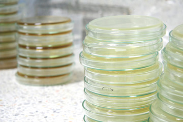 Stacks of Petri dishes prepare for science research.