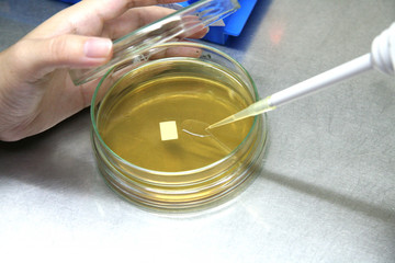Pipette with drop of sample liquid and petri dishes.