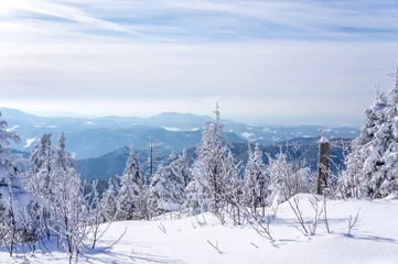 Fototapete Winterlandschaft Sauerland/Rothaargebirge  © Sina Ettmer