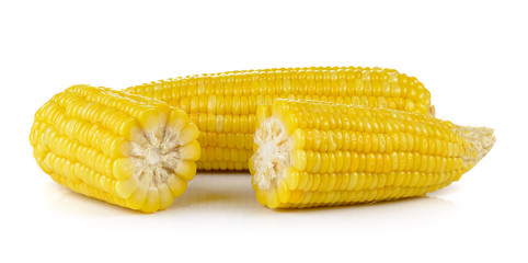 corn on white background