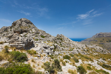 Fototapeta na wymiar Landscape of mountain in Mallorca