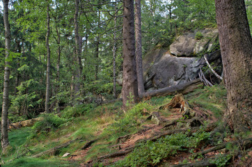landscape / Landscapes rocks in a natural park made in HDR photography
