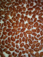 Fondo para textura con cereales