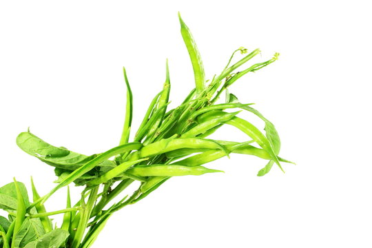 cluster bean or guar been indian vegetable in white background