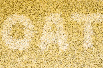 Foto op Canvas Inscription oat oatmeal oat grains on © photosiber