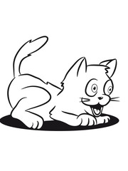 Cat small young sweet funny