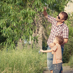 Father and son playing at the park at the day time.