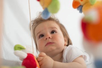 baby boy portrait
