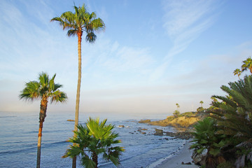 Beach morning along California coast