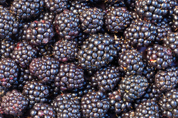 Ripe blackberries background