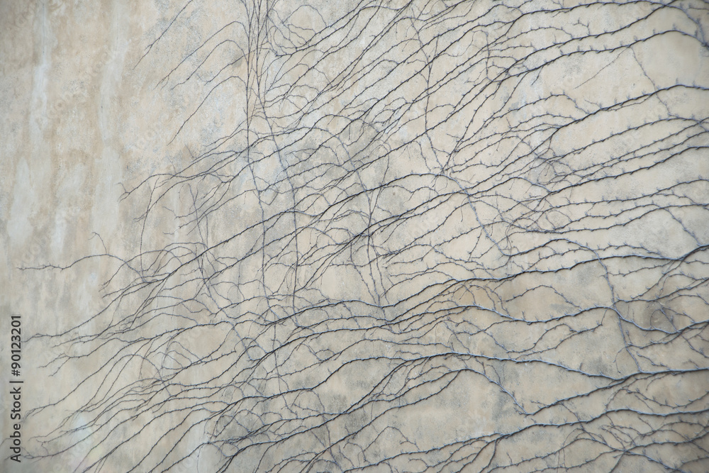 Wall mural abstract textured decorative, roots on wall backgrounds